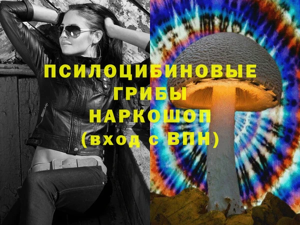 Альфа ПВП Алексин