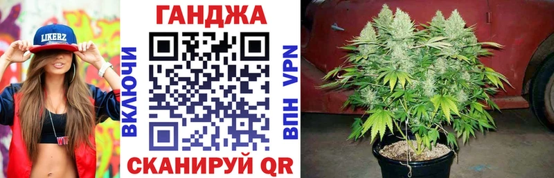 Марихуана гибрид  Зуевка 